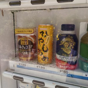 化かし合い? 化かし合い?