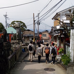 化かし合い? 化かし合い?