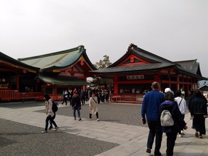 化かし合い? 化かし合い?