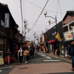化かし合い? 化かし合い?