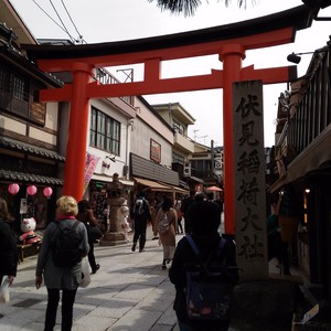 化かし合い? 化かし合い?