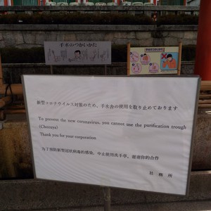 化かし合い? 化かし合い?