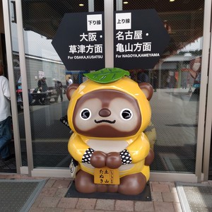 化かし合い? 化かし合い?