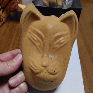 化かし合い? 化かし合い?