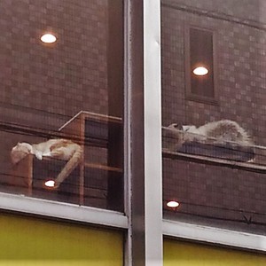 街歩き 街歩き