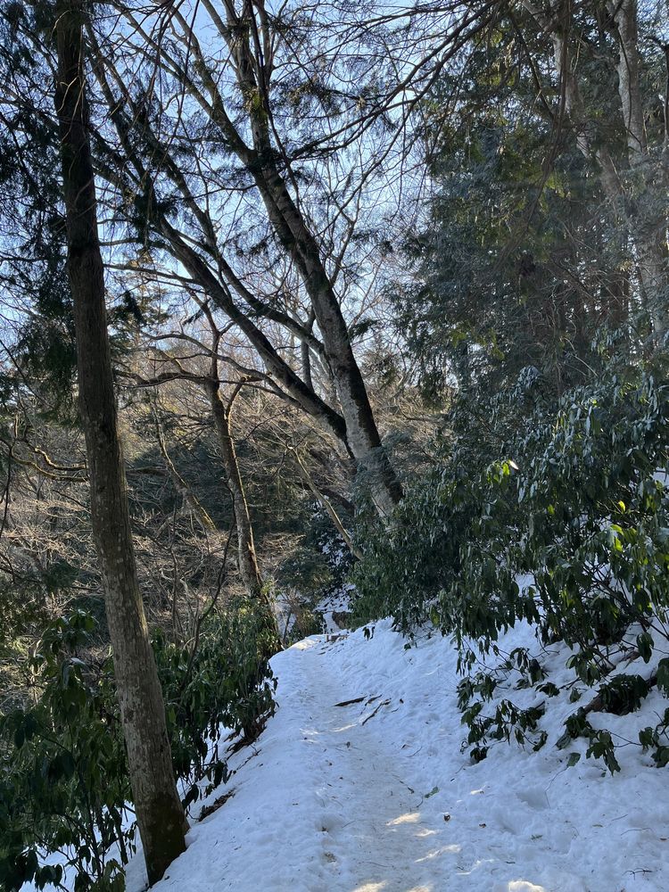 2022年上半期山行記録 2022年上半期山行記録