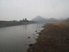 雨のM川で1匹