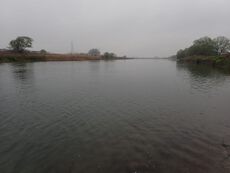 小雨の根尾川散策