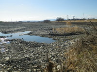 解禁後の根尾川に行ってきました・・・が
