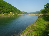初根尾川・初アマゴ