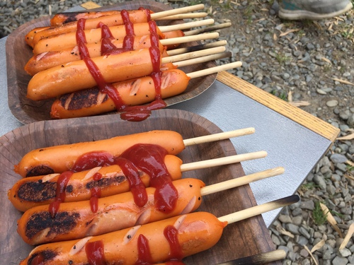 毎年恒例!川遊びキャンプ 毎年恒例!川遊びキャンプ