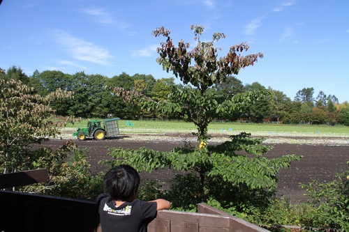 #43 久々の北軽井沢スウィートグラス #43 久々の北軽井沢スウィートグラス