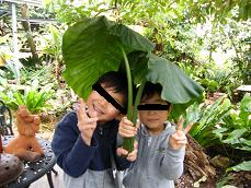 ☆~沖縄旅行2010・・・Ⅰ☆~
