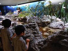 ☆~沖縄旅行2010・・・Ⅲ~☆