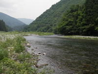 根尾川上流を歩く