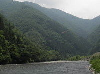 根尾川上流を歩く
