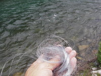 釣りゴミ