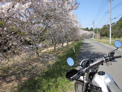 えぇその後わw