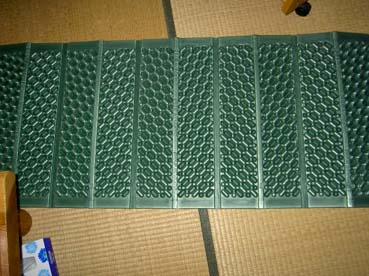実は来てたんですが。。。。