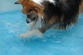 お天気なので