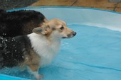 お天気なので