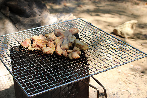 久々キャンプはアセビの森で^^