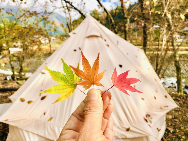 紅葉キャンプ