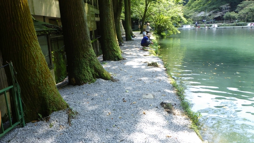 「醒ヶ井養鱒場」名人戦後の釣行 最終話 「醒ヶ井養鱒場」名人戦後の釣行 最終話