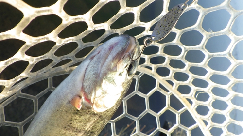 「北方ます釣り場」を攻略せよ part3 その1 「北方ます釣り場」を攻略せよ part3 その1