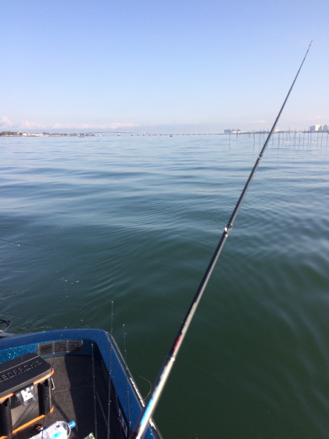 琵琶湖南湖:デカイ船はいい(笑) 琵琶湖南湖:デカイ船はいい(笑)