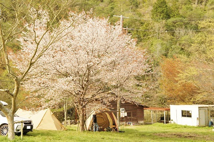 2015春　ナチュログ姫路会in牧野