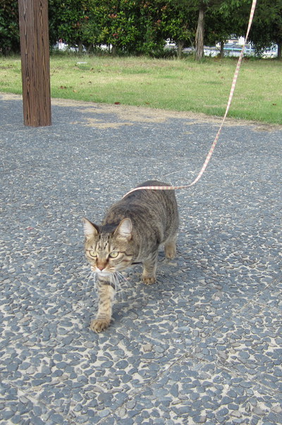 久しぶりに上信道走りました♪ 久しぶりに上信道走りました♪