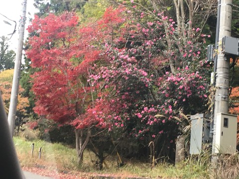 秋の神奈川会〜椿荘AC〜11/18・19〜 秋の神奈川会〜椿荘AC〜11/18・19〜