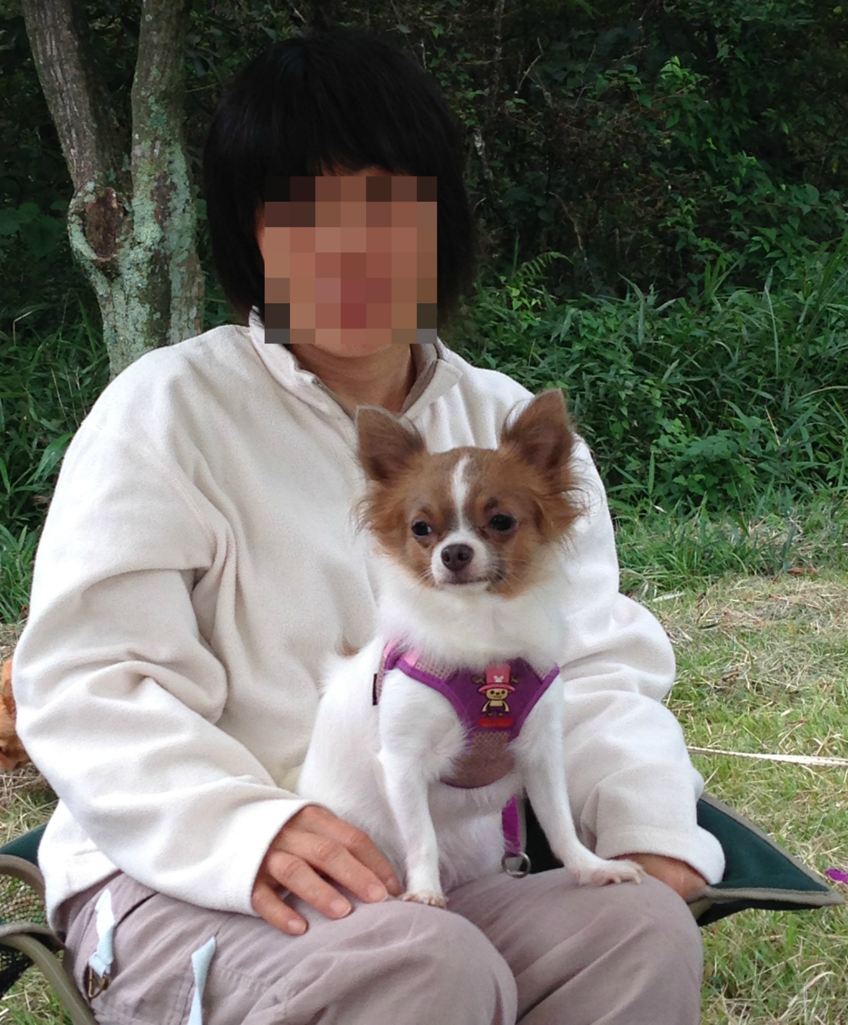 キャンプ1年生!!こんなキャンプしてました〜その③〜2014年9月〜 キャンプ1年生!!こんなキャンプしてました〜その③〜2014年9月〜
