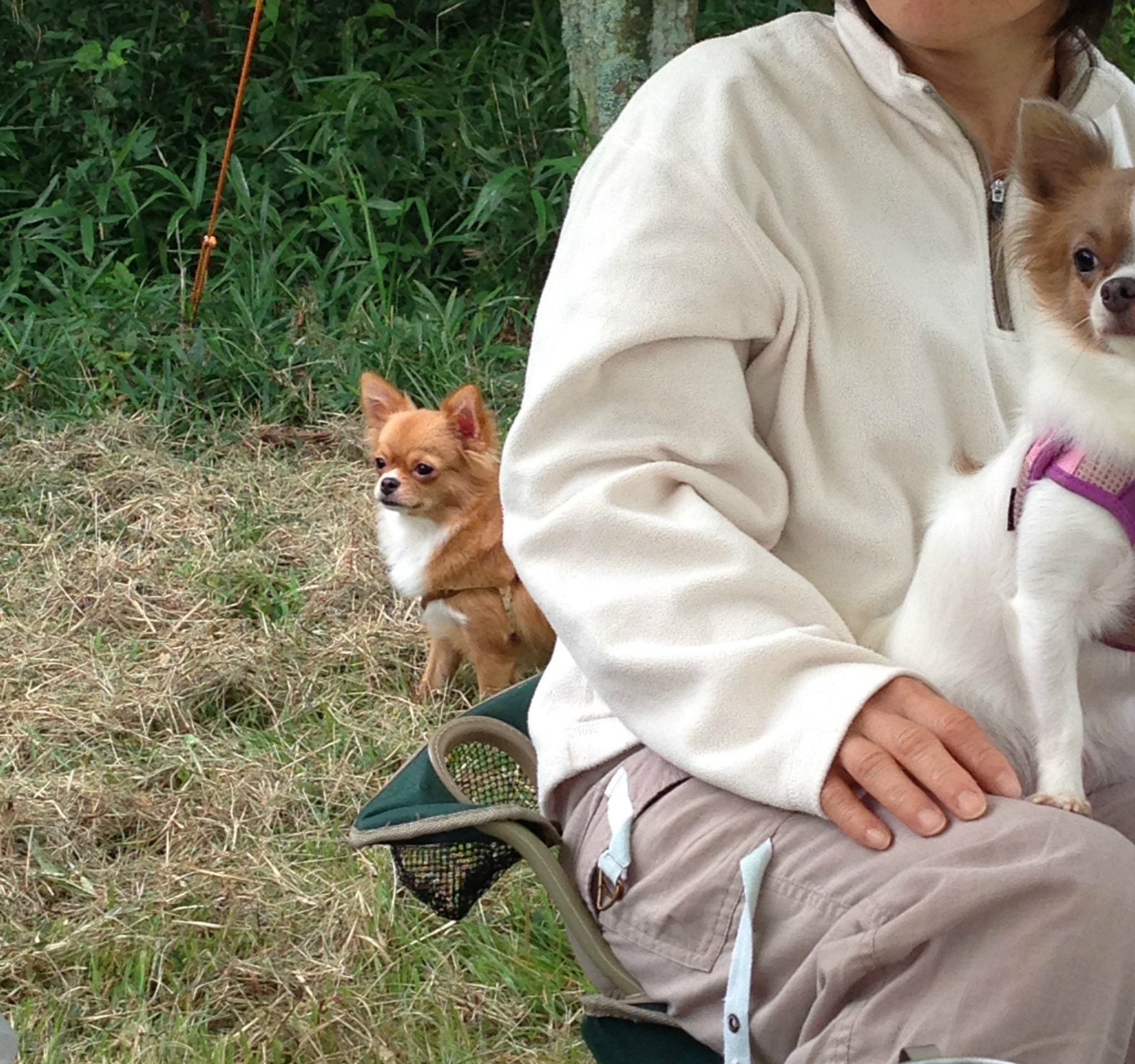 キャンプ1年生!!こんなキャンプしてました〜その③〜2014年9月〜 キャンプ1年生!!こんなキャンプしてました〜その③〜2014年9月〜