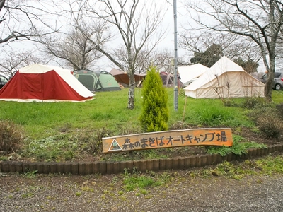 初張りは春雨の3連休・・・〜森のまきばAC〜3/19・20・21〜最終日〜 初張りは春雨の3連休・・・〜森のまきばAC〜3/19・20・21〜最終日〜