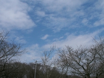 初張りは春雨の3連休・・・〜森のまきばAC〜3/19・20・21〜最終日〜 初張りは春雨の3連休・・・〜森のまきばAC〜3/19・20・21〜最終日〜