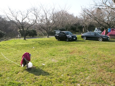 初張りは春雨の3連休・・・〜森のまきばAC〜3/19・20・21〜最終日〜 初張りは春雨の3連休・・・〜森のまきばAC〜3/19・20・21〜最終日〜
