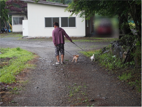 今シーズン初の道志~水之元キャンプ場~7/1・2~2日目〜 今シーズン初の道志~水之元キャンプ場~7/1・2~2日目〜
