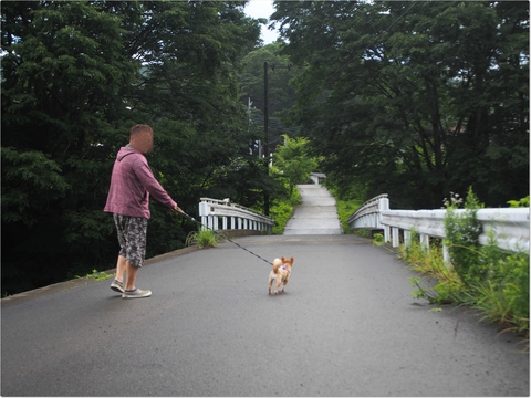 今シーズン初の道志~水之元キャンプ場~7/1・2~2日目〜 今シーズン初の道志~水之元キャンプ場~7/1・2~2日目〜