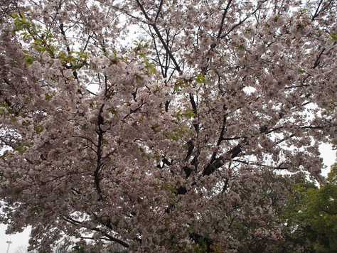 OUTDOORDAY JAPAN TOKYO 2017 OUTDOORDAY JAPAN TOKYO 2017