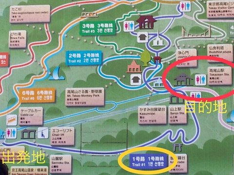 高尾山で乾杯! 高尾山で乾杯!