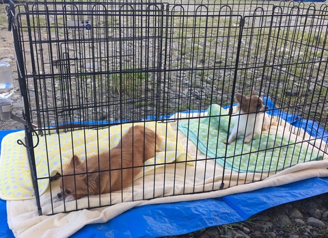 キャンプに行きたい!!〜田代運動公園〜9/9.10 キャンプに行きたい!!〜田代運動公園〜9/9.10