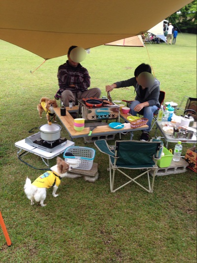 GWキャンプはやまぼうしAC〜5/3・4・5〜最終日〜 GWキャンプはやまぼうしAC〜5/3・4・5〜最終日〜