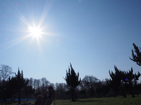 花よりホルモン❀˚‧〜秋ヶ瀬公園〜3/25〜 花よりホルモン❀˚‧〜秋ヶ瀬公園〜3/25〜