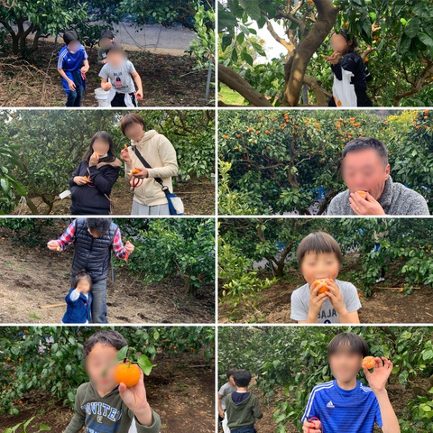 南房総でみかん狩りキャンプ〜オレンジ村AC〜1/11・12・13〜1日目〜 南房総でみかん狩りキャンプ〜オレンジ村AC〜1/11・12・13〜1日目〜