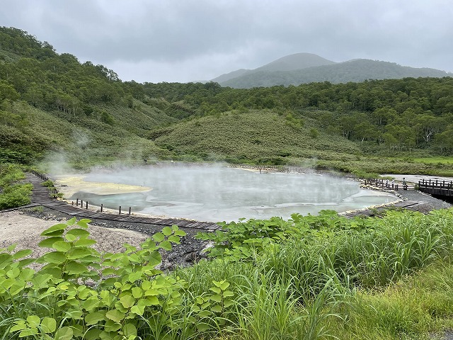 ニセコサヒナキャンプ場 ニセコサヒナキャンプ場