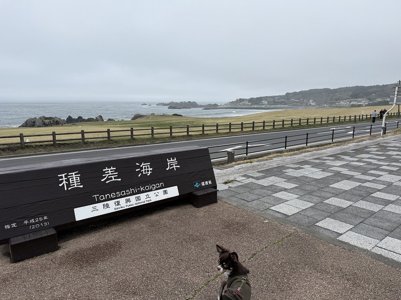 2025北東北編1(田沢湖オートキャンプ場) 2025北東北編1(田沢湖オートキャンプ場)