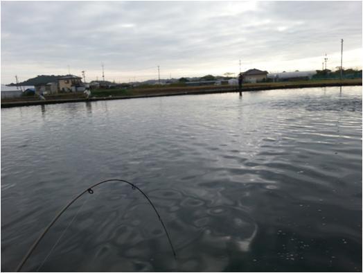 浜名湖FRオープンは事情により・・・・ 浜名湖FRオープンは事情により・・・・