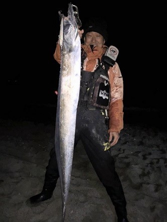 コノシロパターンのドラゴン太刀魚 コノシロパターンのドラゴン太刀魚